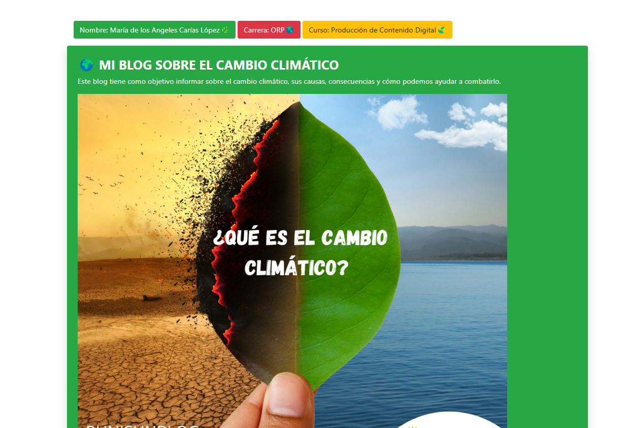 Proyecto 3